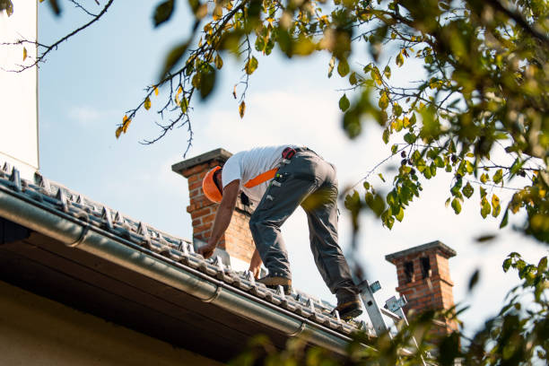 Best Roof Repair Services  in Venersborg, WA